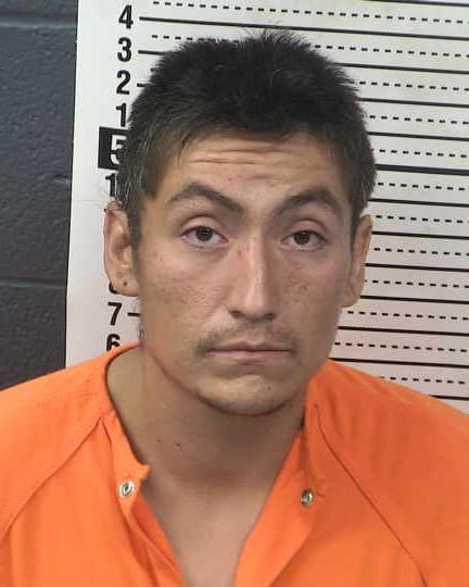 GEROME C LUNDEEN mugshot - Las Cruces arrest booking photo, Doña Ana County