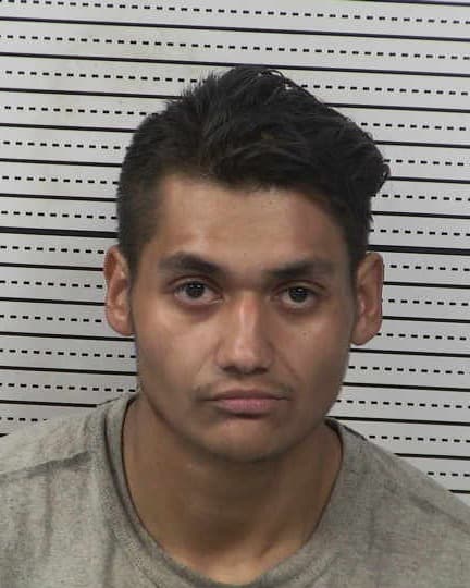 EDGAR RIVAS mugshot - Las Cruces arrest booking photo, Doña Ana County