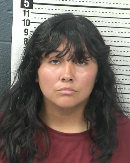 JESSICA RENE TORRES GARCIA mugshot - Las Cruces arrest booking photo, Doña Ana County