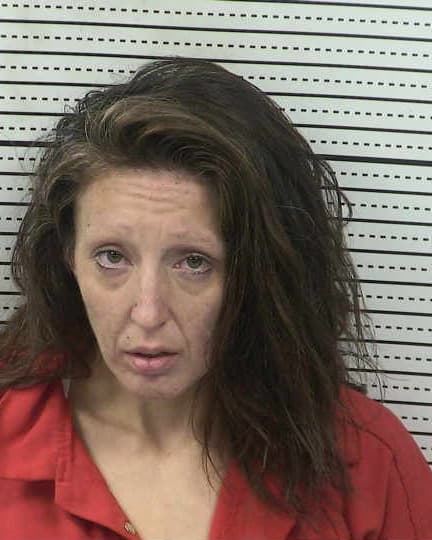 SASHA VILLARREAL mugshot - Las Cruces arrest booking photo, Doña Ana County