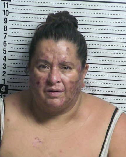 HOPE M TELLEZ mugshot - Las Cruces arrest booking photo, Doña Ana County