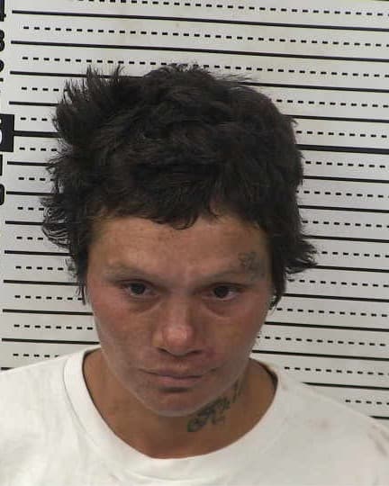 CHERYL HERNANDEZ mugshot - Las Cruces arrest booking photo, Doña Ana County