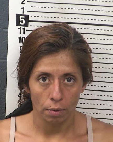 ERIKA VIVIANA MORALES mugshot - Las Cruces arrest booking photo, Doña Ana County