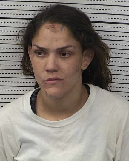 JACKLYN VICTORIA GARCIA mugshot - Las Cruces arrest booking photo, Doña Ana County