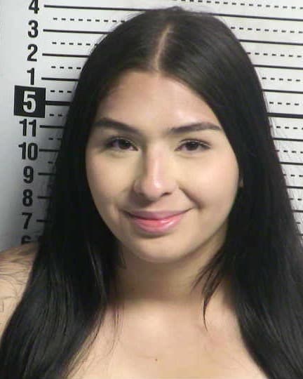 ANGELINA SANCHEZ mugshot - Las Cruces arrest booking photo, Doña Ana County