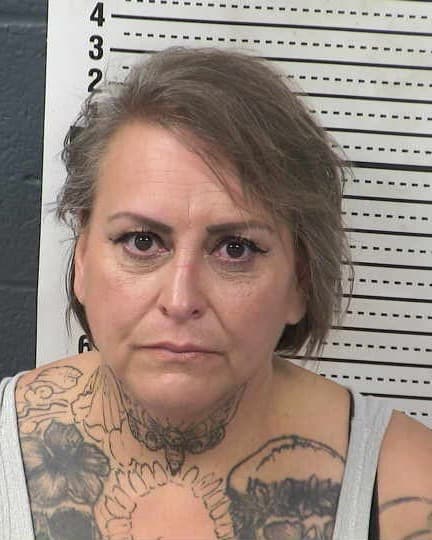ELIZABETH SANTIESTEVAN mugshot - Las Cruces arrest booking photo, Doña Ana County