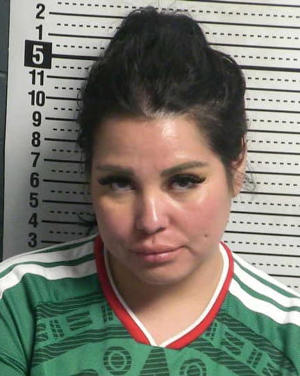 LIZETTE ESPINOZA mugshot - Las Cruces arrest, Doña Ana County