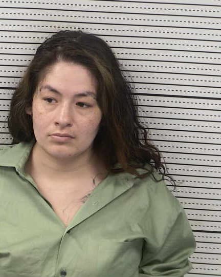 ELIZZA CASTILLON mugshot - Las Cruces arrest booking photo, Doña Ana County