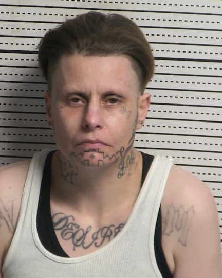 TRACY L ROSS mugshot - Las Cruces arrest booking photo, Doña Ana County