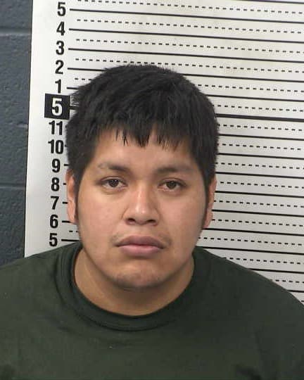 LUIS NAVARRETE-GOCHE mugshot - Las Cruces arrest booking photo, Doña Ana County