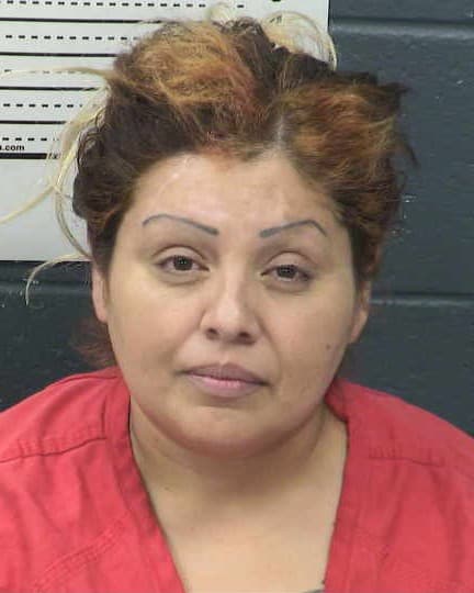 PAULA ORTIZ mugshot - Las Cruces arrest, Doña Ana County