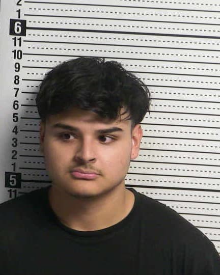 SERGIO SALVADOR LUNA mugshot - Las Cruces arrest booking photo, Doña Ana County