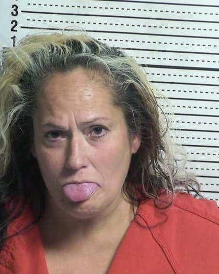 RENEE ANNE REHBERG mugshot - Las Cruces arrest booking photo, Doña Ana County