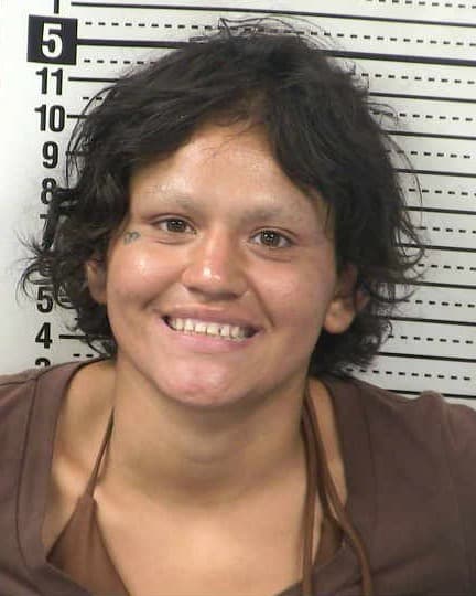 ARIEL CAMPOS mugshot - Las Cruces arrest booking photo, Doña Ana County