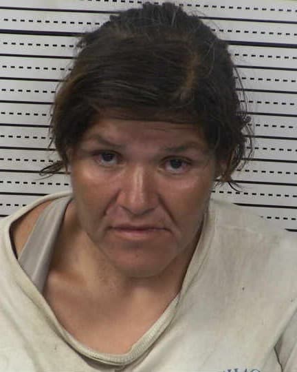 MAGALY MARGARIT LUNA GALLEGOS mugshot - Las Cruces arrest booking photo, Doña Ana County