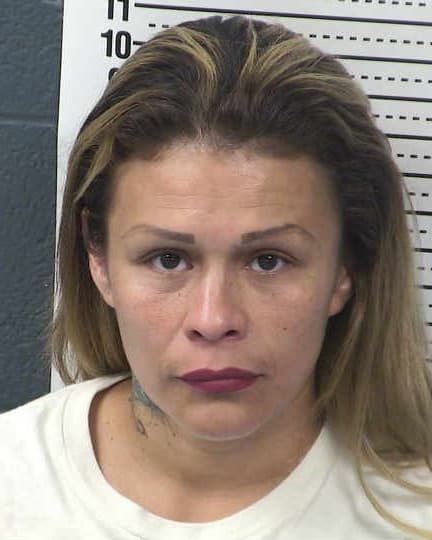 LUCIA HEREDIA mugshot - Las Cruces arrest booking photo, Doña Ana County