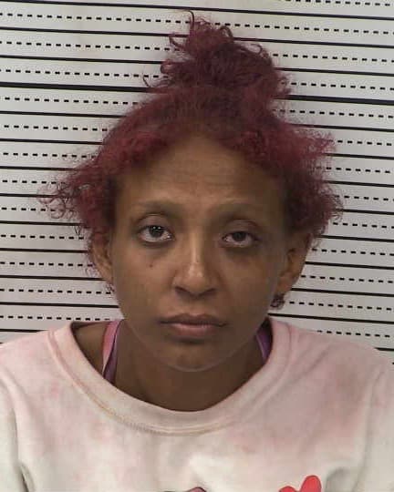 BRANDY GALVAN mugshot - Las Cruces arrest booking photo, Doña Ana County