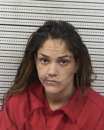 JACKLYN VICTORIA GARCIA mugshot - Las Cruces arrest booking photo, Doña Ana County