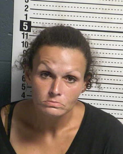 TERI LEE DORMAN mugshot - Las Cruces arrest booking photo, Doña Ana County