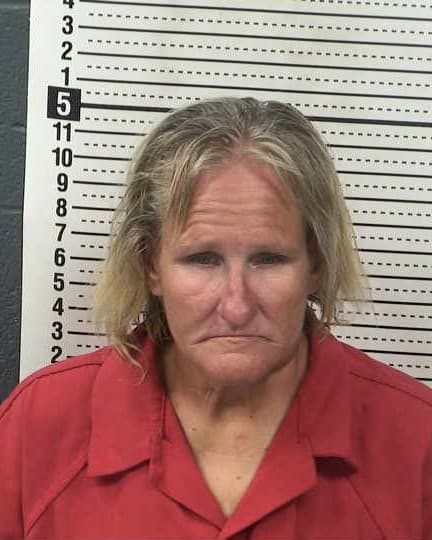 ELISE D BARRETT mugshot - Las Cruces arrest booking photo, Doña Ana County