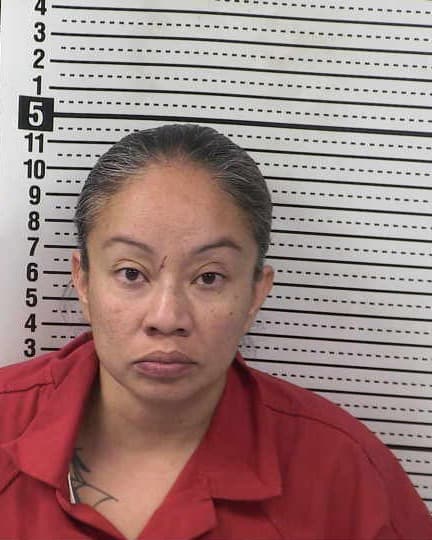 ELIZABETH HINOJOS mugshot - Las Cruces arrest, Doña Ana County