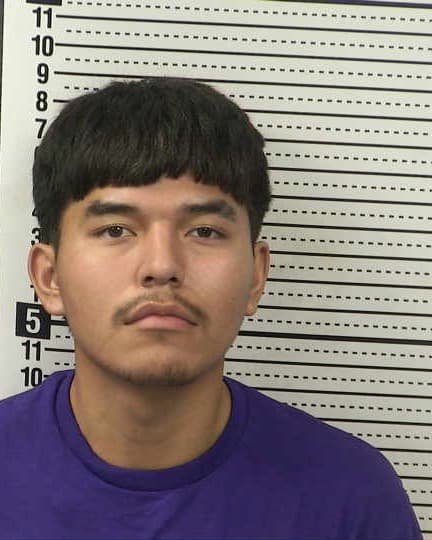 GILBERT FLORES mugshot - Las Cruces arrest booking photo, Doña Ana County