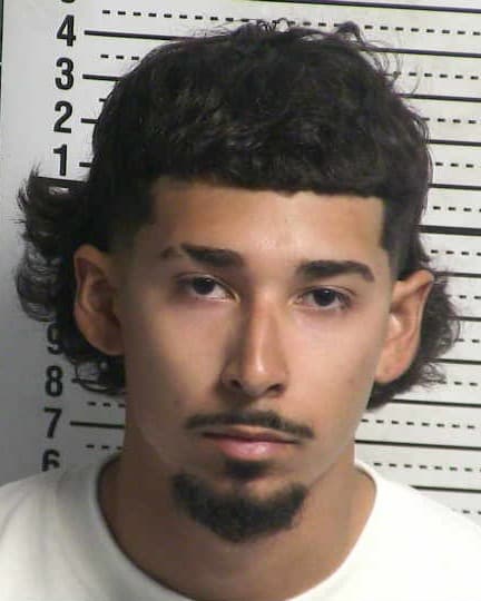 LUIS JIMENEZ mugshot - Las Cruces arrest, Doña Ana County