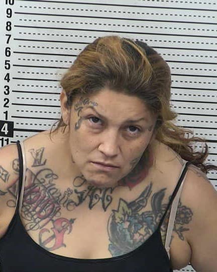 DESIREE VALLEJOS mugshot - Las Cruces arrest booking photo, Doña Ana County