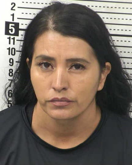 ANA SEGURA mugshot - Las Cruces arrest, Doña Ana County