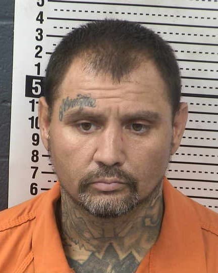CHESTER HAMILTON mugshot - Las Cruces arrest booking photo, Doña Ana County