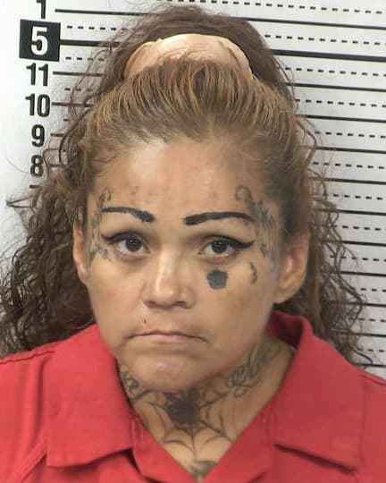 ERICA LYNN PEREZ mugshot - Las Cruces arrest booking photo, Doña Ana County