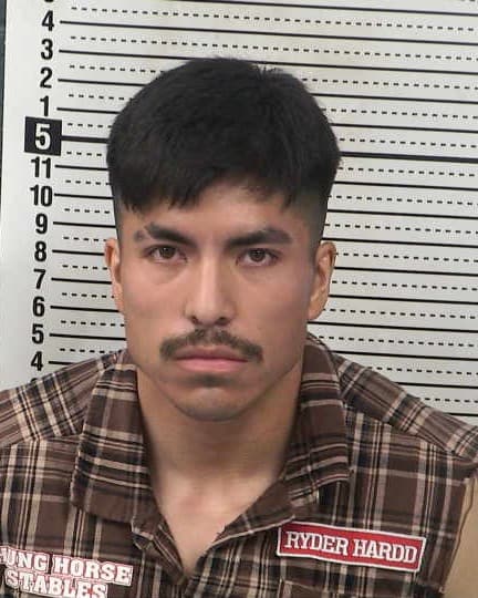 ERICK SANCHEZ mugshot - Las Cruces arrest booking photo, Doña Ana County