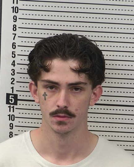 DALTON HOLDEN mugshot - Las Cruces arrest, Doña Ana County