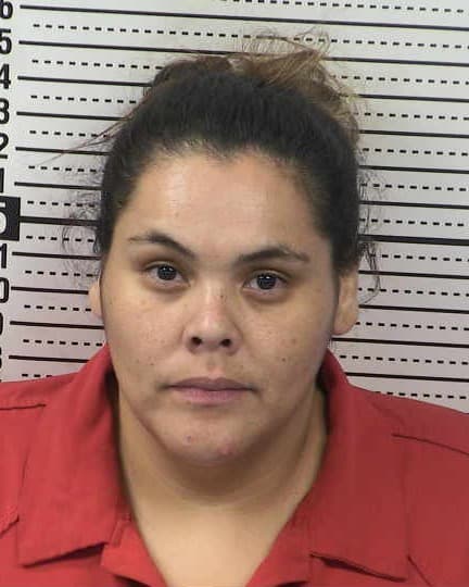 GLORIA GABRIELA ARZABAL CHAVIRA mugshot - Las Cruces arrest booking photo, Doña Ana County