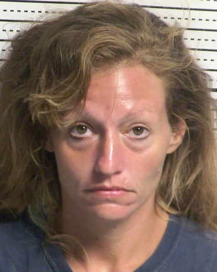 ROBIN ANN SHANKLES mugshot - Las Cruces arrest booking photo, Doña Ana County