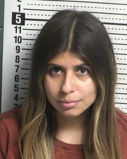 ERIKA DONNER mugshot - Las Cruces arrest, Doña Ana County
