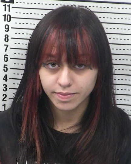 BRIANNA SCHWARTZ mugshot - Las Cruces arrest booking photo, Doña Ana County
