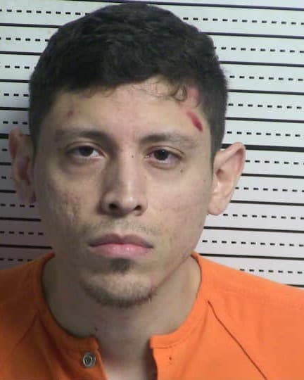 CHRISTIAN MOEHLIG mugshot - Las Cruces arrest, Doña Ana County