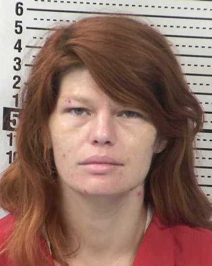 PATRICIA GAYLE LIVINGSTON mugshot - Las Cruces arrest booking photo, Doña Ana County