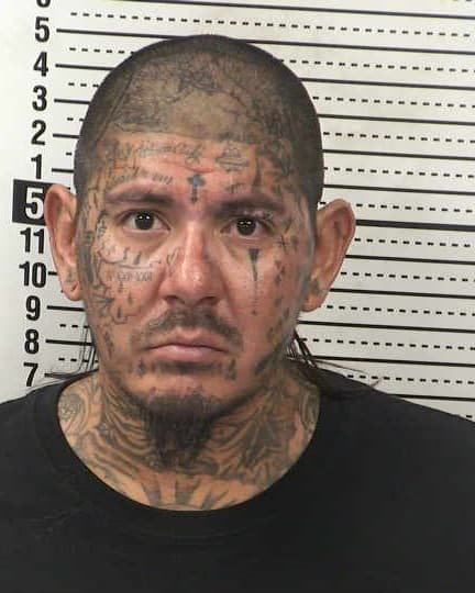 LUIS ROSALES mugshot - Las Cruces arrest, Doña Ana County