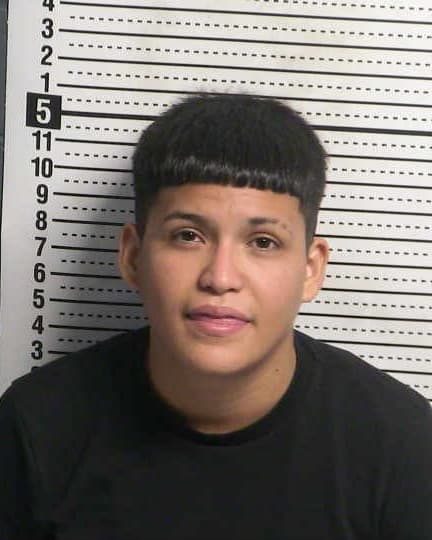LESLI DELGADO mugshot - Las Cruces arrest, Doña Ana County