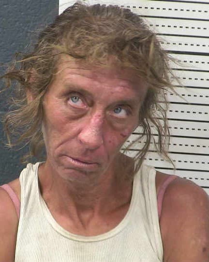 JILL M TUCKER mugshot - Las Cruces arrest booking photo, Doña Ana County