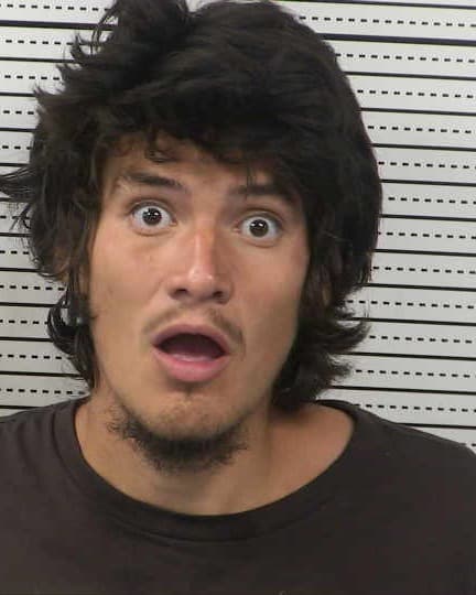JOAQUIN WIDMAR mugshot - Las Cruces arrest booking photo, Doña Ana County