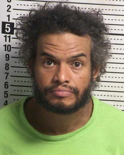 LOGAN TROY MINTZ mugshot - Las Cruces arrest booking photo, Doña Ana County