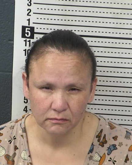 ELIZABETH GARCIA mugshot - Las Cruces arrest booking photo, Doña Ana County