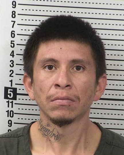 LEOBARDO GONZALEZ-PACHECO mugshot - Las Cruces arrest booking photo, Doña Ana County