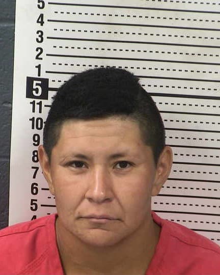 ANDREA NICOLE VARELA mugshot - Las Cruces arrest booking photo, Doña Ana County