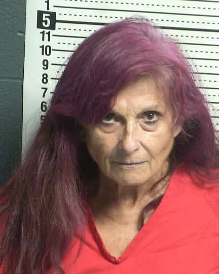 DONNA HOLLINGSHEAD mugshot - Las Cruces arrest booking photo, Doña Ana County