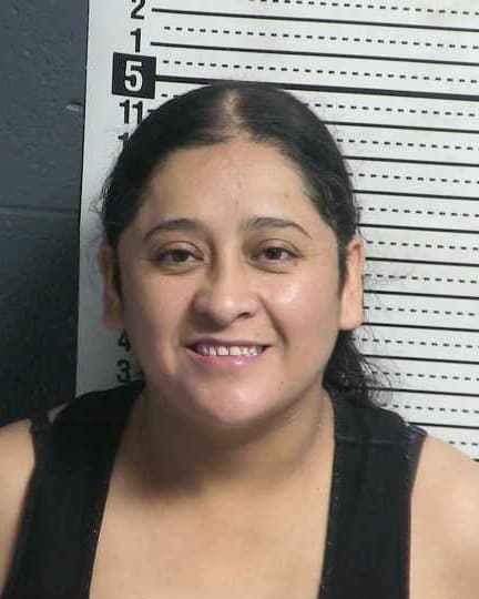 LORENZA ESCOBEDO GALINDO mugshot - Las Cruces arrest booking photo, Doña Ana County