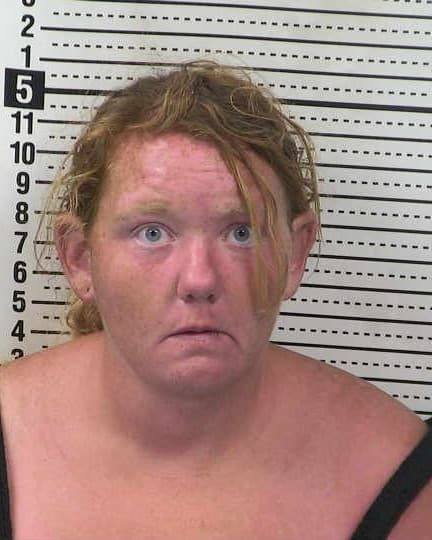 ASHLEY LUCINDA LASCH mugshot - Las Cruces arrest booking photo, Doña Ana County